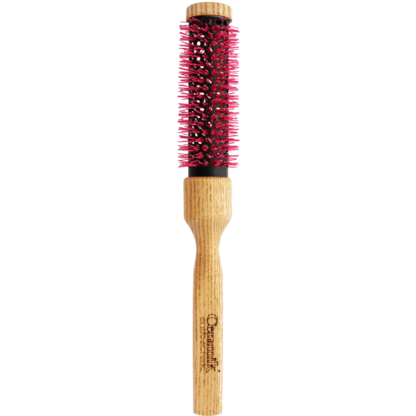 Brosse antibactérienne professionnelle Ceramik Oxy 24mm